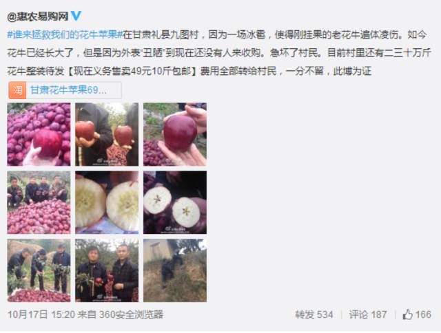 神馬推廣用故事樹立品牌