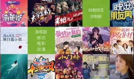愛奇藝有熱門版權劇的獨播，有引領熱潮的自制劇