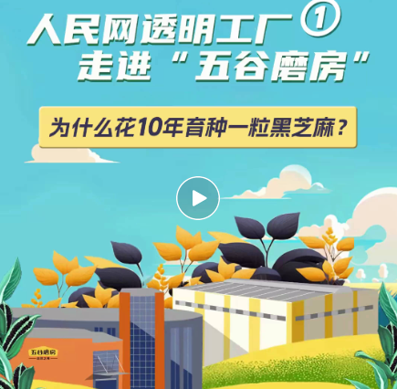 視頻號的起號邏輯，公私域聯動作為核心，合理運用生態工具