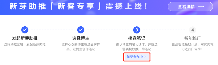 小紅書廣告筆記創作中