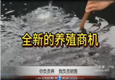vivo廣告視頻素材