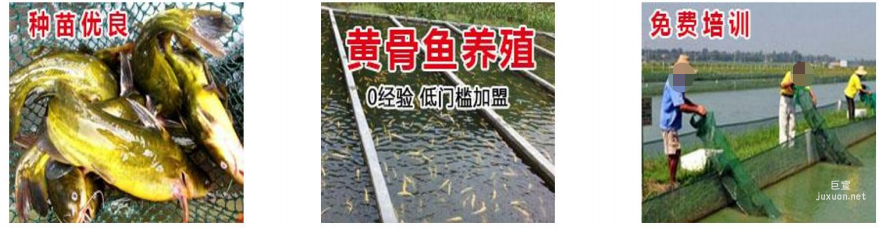 vivo廣告組圖素材