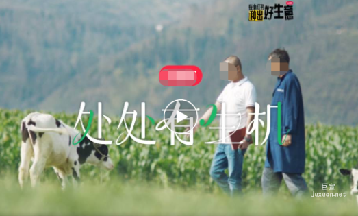 新銳品牌多元化生長，小紅書廣告平臺成【好生意的滋養地】